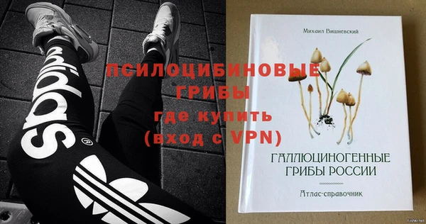 твердый Алексеевка