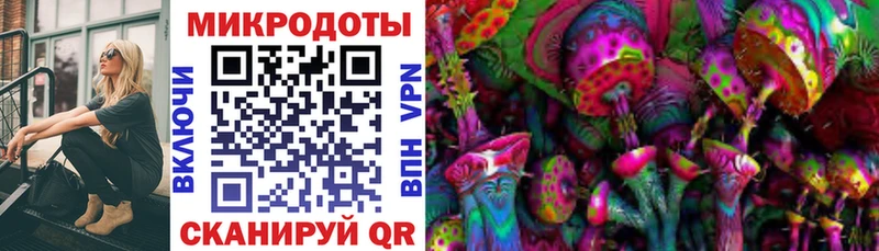 Псилоцибиновые грибы Psilocybe  OMG зеркало  Сургут 