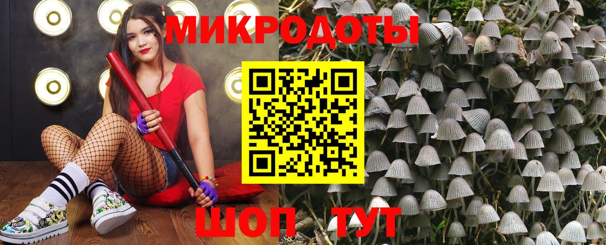 Галлюциногенные грибы Psilocybine cubensis Сургут