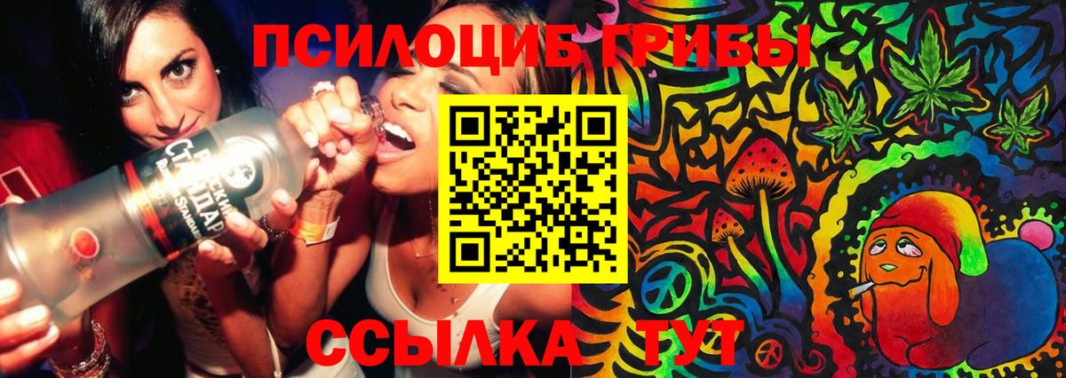 Галлюциногенные грибы Magic Shrooms  Вход с VPN  Псилоцибиновые грибы мицелий  купить   Сургут 
